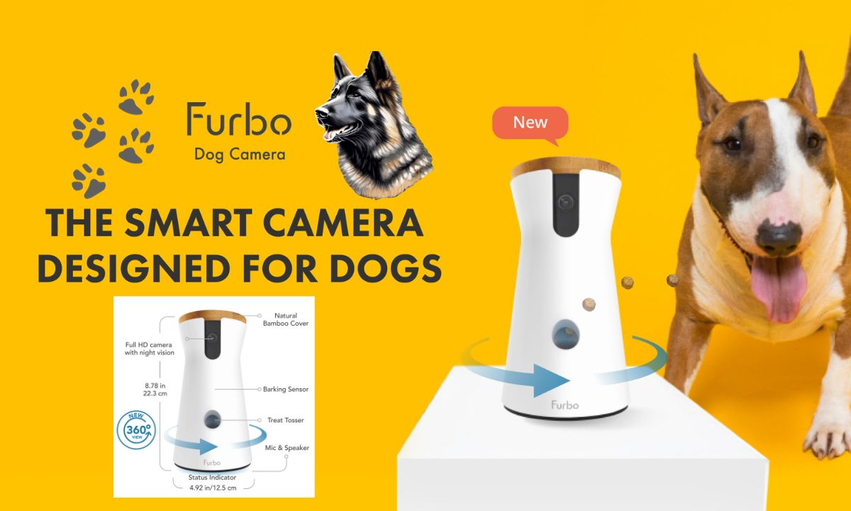 360 Degrees of Doggy Delight: Furbo’s Ultimate Camera for Wagging Tails and Sneaky Paws